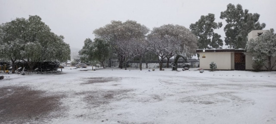 El SMN emitió una advertencia por temperaturas muy bajas en la región