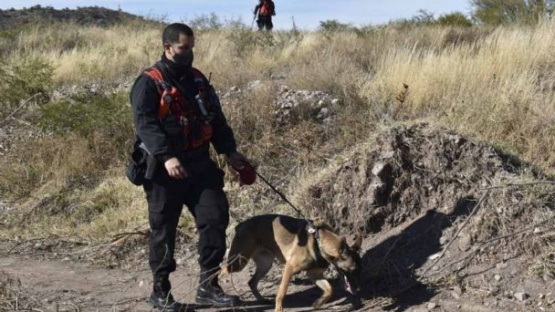 Guadalupe: una perra marcó una casa y hallaron una posible mancha de sangre