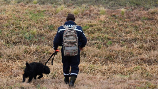 Guadalupe Lucero: un perro detectó un rastro en una ruta que va hacia Mendoza